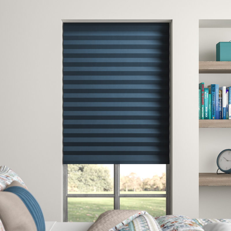 Ebern Designs Blackout Pleated Shade & Reviews Wayfair